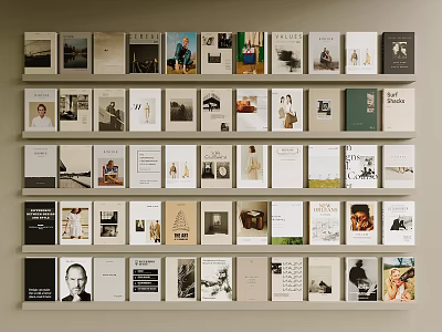 Variety Of Books And Magazines Arranged On Wall Mounted Shelves 3d model