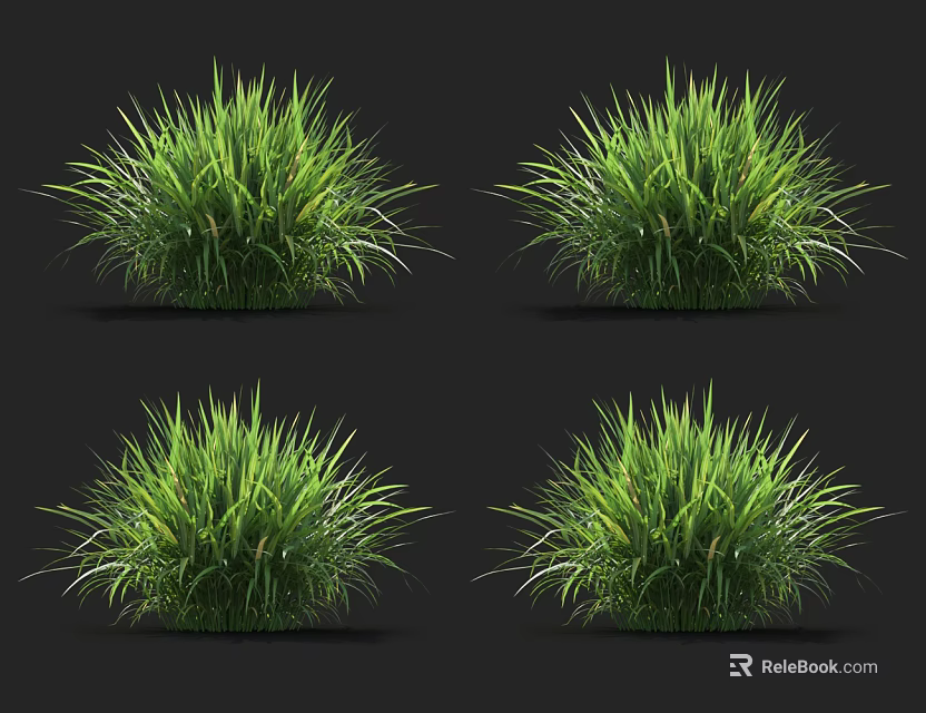 Four Clumps of Vibrant Lush Green Grass Isolated on Black Background 3d model 