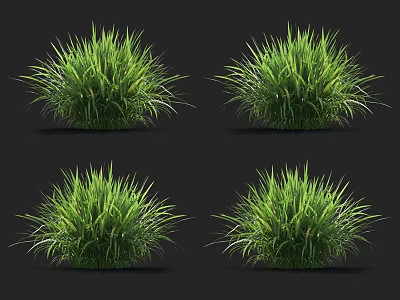 Four Clumps of Vibrant Lush Green Grass Isolated on Black Background 3d model
