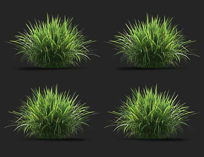 Four Clumps of Vibrant Lush Green Grass Isolated on Black Background 3d model