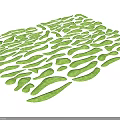 Beautiful Green Botanical Leaves Arranged in Natural Organic Pattern for Garden
