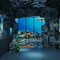 Underwater Oceanarium Tunnel With Colorful Fish Coral Large Aquarium Tanks Rock Decorations And Soft Lighting