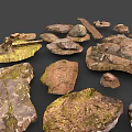 Wood and Stone Natural Materials Featuring Moss Covered Surfaces and Various Shapes