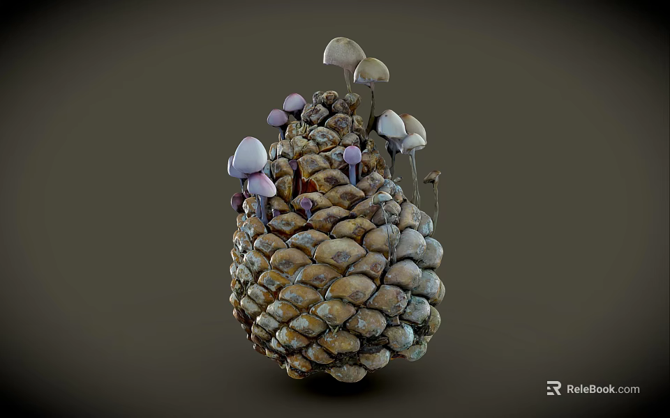 Natural Pine Cone With Small Mushrooms Growing On Its Textured Surface 3d model 