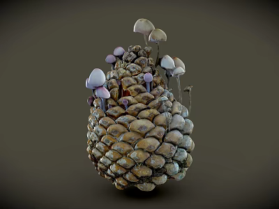 Natural Pine Cone With Small Mushrooms Growing On Its Textured Surface 3d model