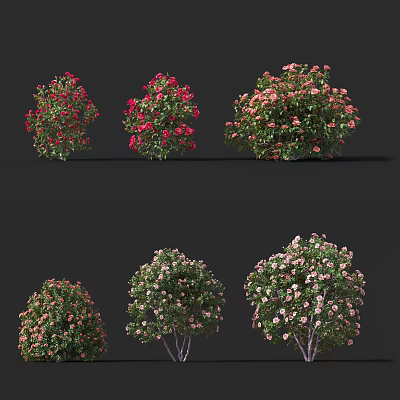 Various Types of Flowering Bushes With Red Pink Blooms And Different Growth Shapes 3d model