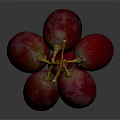 Fresh Ripe Juicy Purple Grapes With Orange Vines On Dark Background