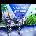 Vivo Spring Gathering Photo Check In Spot With Peacock Flowers And Palm Trees