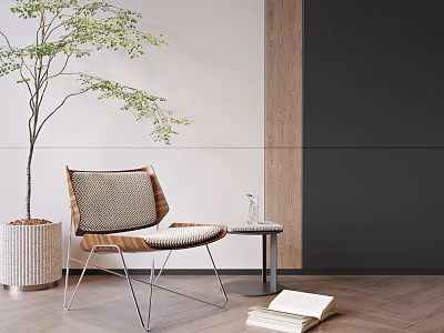 Modern Leisure Chair With Woven Seat Back And Side Table Potted Plant Wooden Floor 3d model