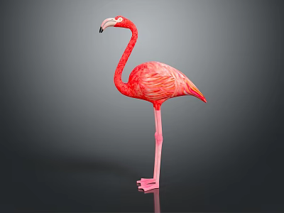 Flamingo CG Flamingo Cartoon Flamingo Animation Flamingo CG Bird Cartoon Bird Animation Birds 3d model