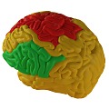 The Modern Brain 3d model