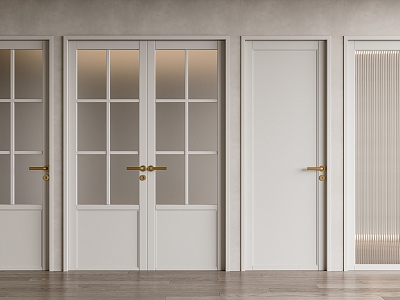 Modern double door model