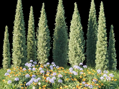 Lush Flower Garden With Tall Cypress Trees And Purple Yellow Blooms 3d model