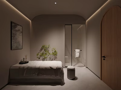 Minimalist Spa Room With Massage Bed Green Plants And Artwork 3d model