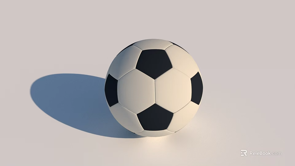 High Quality Black And White Soccer Ball Essential Sports Equipment For Training 3d model 
