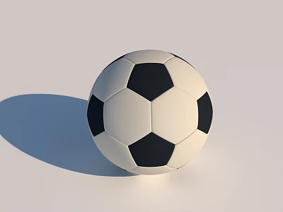 High Quality Black And White Soccer Ball Essential Sports Equipment For Training 3d model