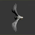 White Eagle With Spread Wings And Yellow Talons On Grey Gradient Background With Reflection 3d model