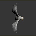 Eagle Large Eagle Owl Raptor Falcon Bird Bird Bird Animal Game Animal 3d model