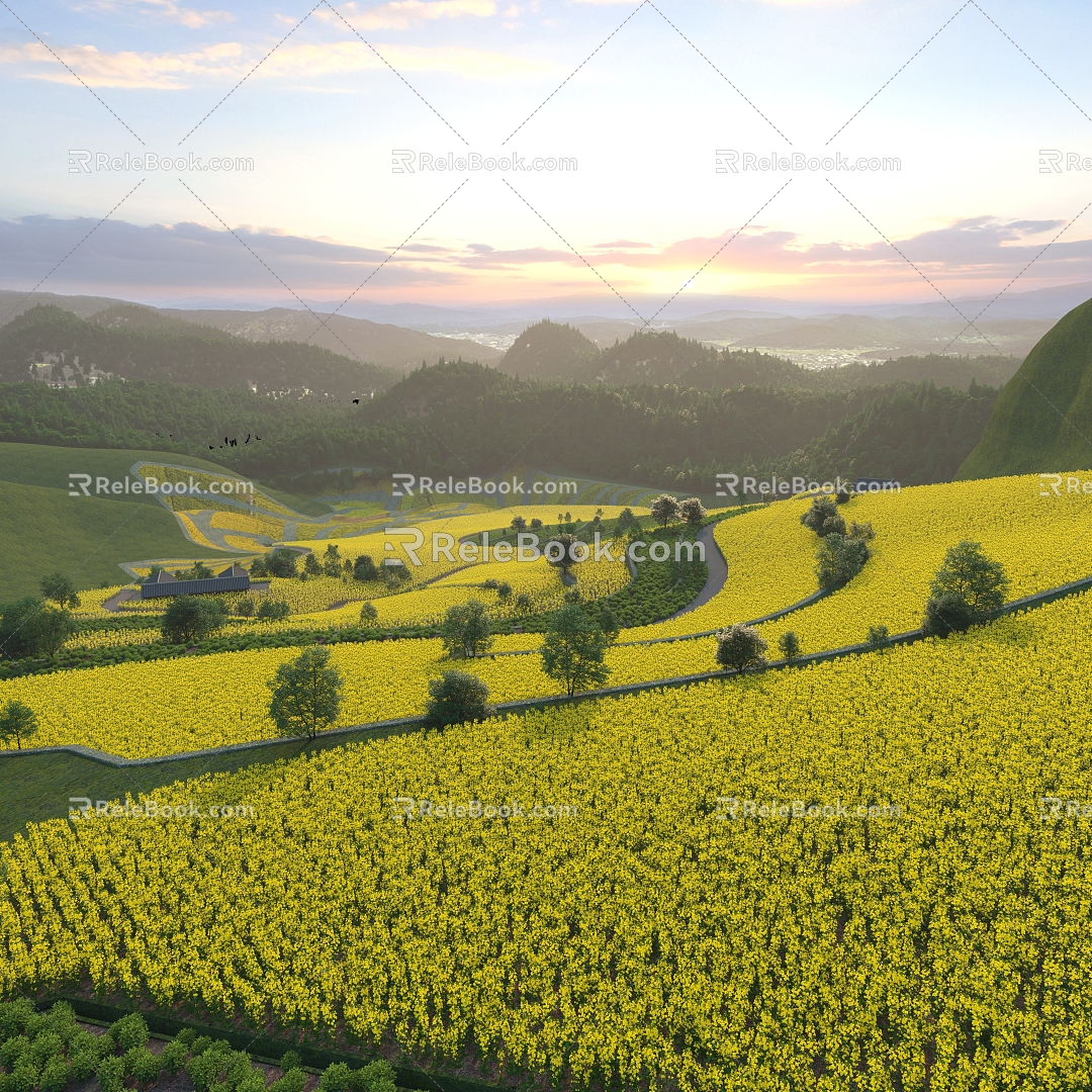 terraced farmland crops forest 3d model