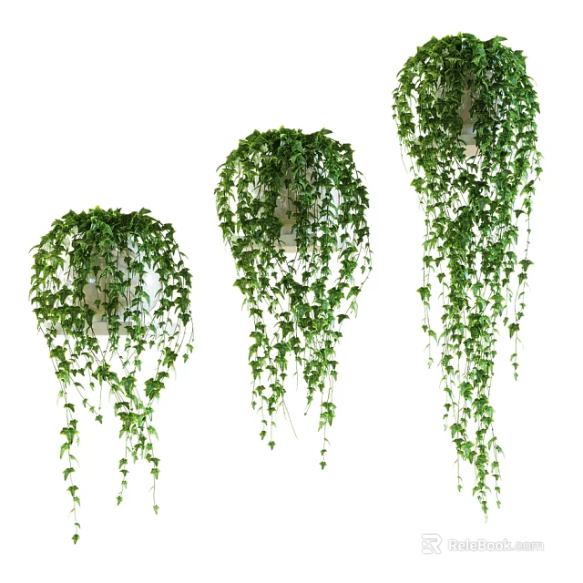 Hanging Bonsai Potted Plants with Green Trailing Vines and Long Leaves for Indoor Decor 3d model 