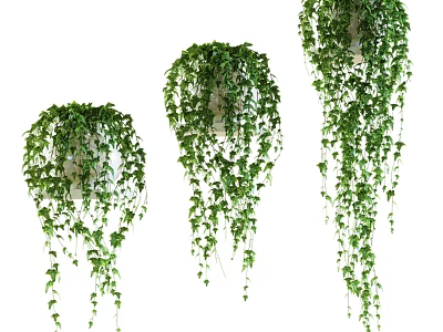 Hanging Bonsai Potted Plants with Green Trailing Vines and Long Leaves for Indoor Decor 3d model