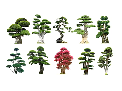 Diverse Pruned Arbor Trees With Different Shapes And Colorful Leaves 3d model