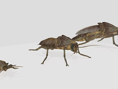 Realistic 3D Insect Models Showcasing Various Sizes And Poses 3d model