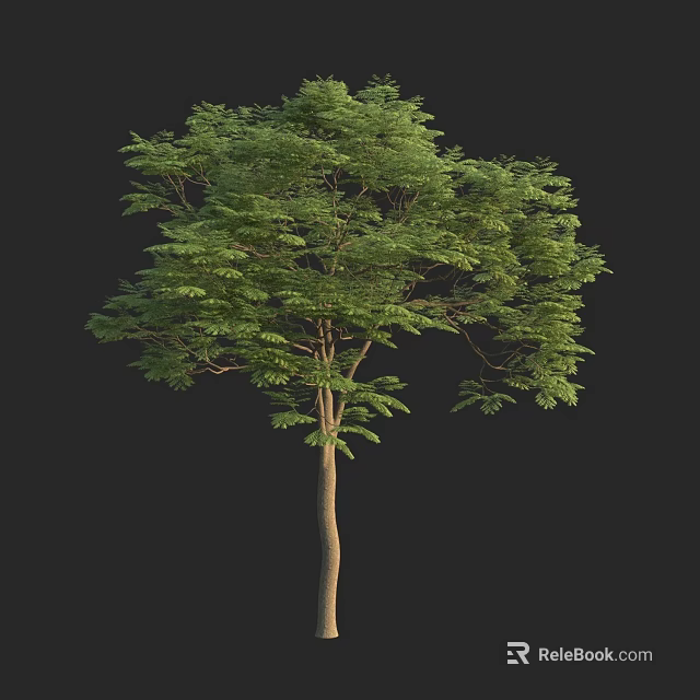 Lush Green Arbor Featuring Tall Straight Trunk And Dense Foliage 3d model 