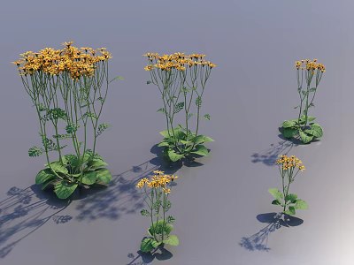 Yellow Flowering Plants With Green Leaves Different Sizes On Gray Background And Shadows 3d model