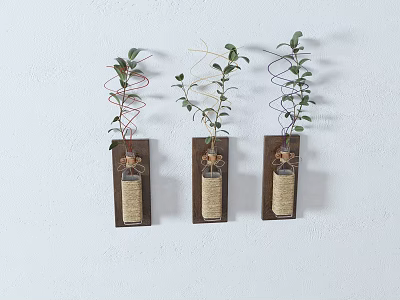 Three Wooden Frame Wall Decor with Glass Bottles Green Plants and Jute Rope 3d model