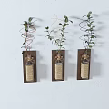 Three Wooden Frame Wall Decor with Glass Bottles Green Plants and Jute Rope