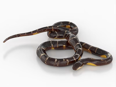 Striking Brown And Yellow Reptile Snake With Coiled Body And Shiny Patterned Scales 3d model