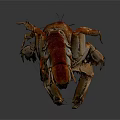 Red Lobster 3D Model With Detailed Claws And Segmented Body On Dark Background