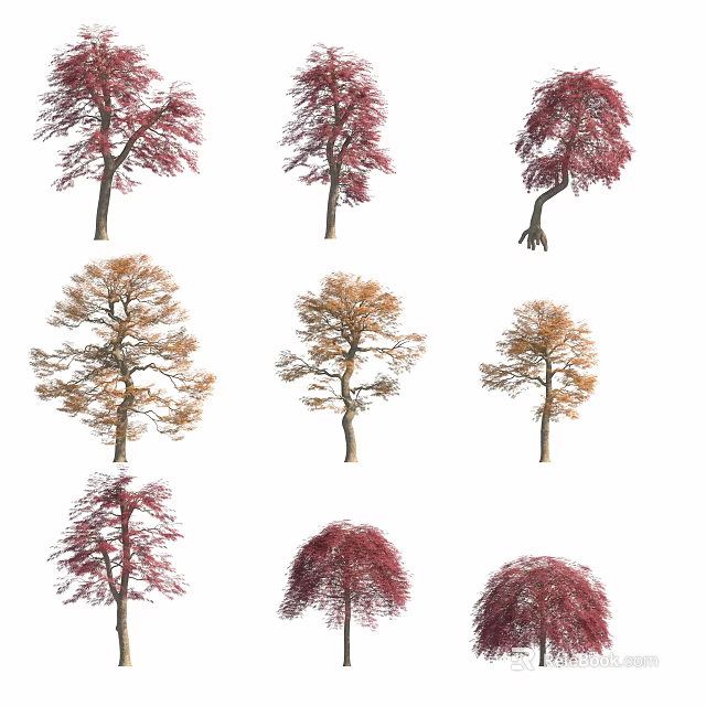 Deciduous Trees With Red Orange Foliage And Various Shapes For Landscape 3d model