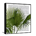 Botanical Plant Paintings With Monstera And Palm Leaves On Newspaper Background
