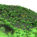 Green Trees Arranged on Terraced Hillside with Lush Vegetation Growth