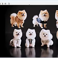 Cute Pomeranian Dogs in Various Outfits Posing on Black Background
