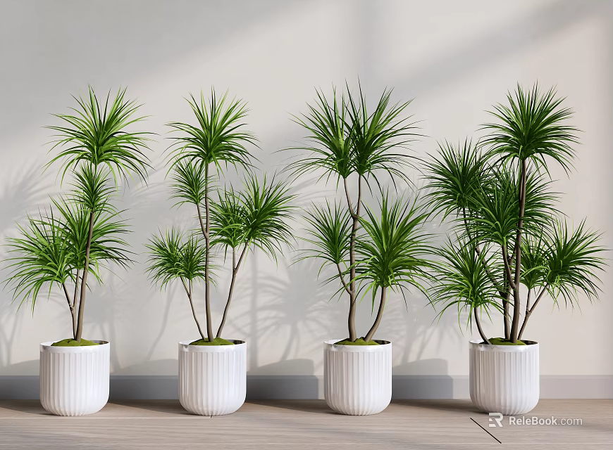 Green Potted Plants in White Ceramic Pots Arranged Indoors Against Light Wall and Wooden Floor 3d model 