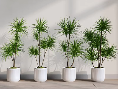 Green Potted Plants in White Ceramic Pots Arranged Indoors Against Light Wall and Wooden Floor 3d model