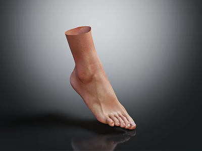 Realistic 3D Model of Human Foot and Ankle on Gray Background with Reflection 3d model