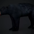 Realistic 3D Model of Black Bear in Standing Pose With Open Mouth and Detailed Fur