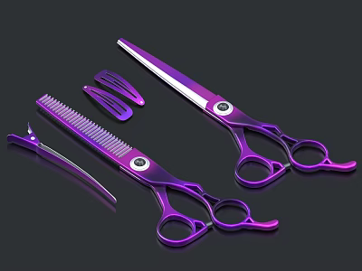 Purple Hair Scissors And Comb Set With Clips For Professional Hairdressing Tools 3d model