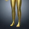 Man Golden 3D Anatomical Model With Front And Back Views And Markers