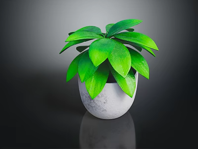Lush Green Plant with Healthy Green Leaves in White Ceramic Pot for Indoor Home Decoration 3d model
