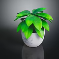 Lush Green Plant with Healthy Green Leaves in White Ceramic Pot for Indoor Home Decoration
