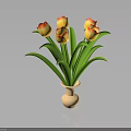 Beautiful Tulips with Yellow Red Gradient Petals Green Leaves in Light Vase on Dark Background