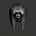 Realistic 3D Rendered Raccoon With Gray Fur And Striped Tail In Standing Pose