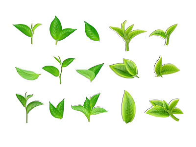 Collection of Various Green Leaves with Different Shapes Isolated On White Background 3d model