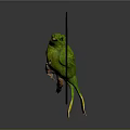 Decorative Ornament Set With Green Birds On Branch And Black Circular Frame Yellow Feet