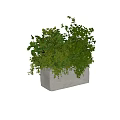 Lush Green Plant Floral Display In Textured Concrete Planter With Various Leaves